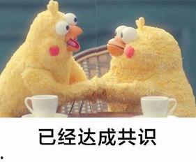 吃瓜绰号,揭秘吃瓜群众的趣味人生