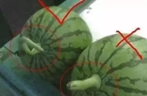 论现场吃瓜,揭秘娱乐圈幕后真相