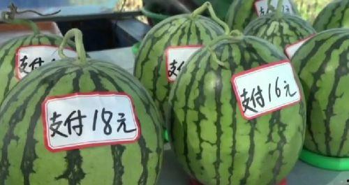 吃瓜居民,揭秘网络热议背后的真相与趣味