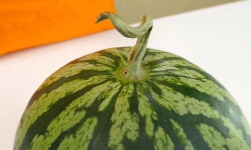 在线小绿吃瓜,揭秘网络热点的幕后故事