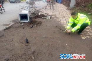 达州警察吃瓜,一场网络热议的幕后真相