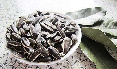 吃瓜壳瓜子视频