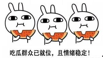 听闻吃瓜后续,揭秘娱乐圈背后的真相与反转