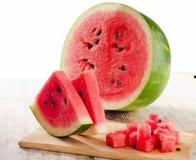 海杉会吃瓜,揭秘海洋植物界的“吃瓜高手”