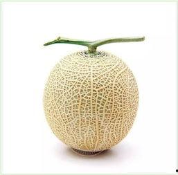 吃瓜群众馍馍,揭秘网络热议背后的真实故事