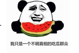 内涵吃瓜的句子,揭秘“吃瓜群众”的内涵与现象