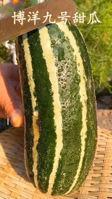 吃瓜吃到了什么,揭秘吃瓜背后的秘密世界