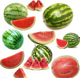 南楠在吃瓜,揭秘娱乐圈幕后故事