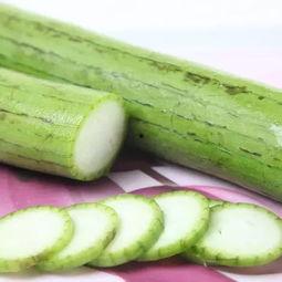 如何保护瓜不被虫吃,全方位守护瓜果安全