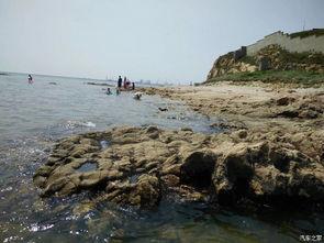 东临碣石吃瓜,一场别开生面的夏日盛宴