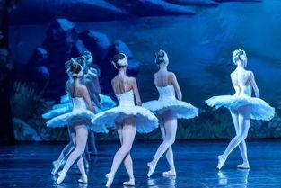 带你吃瓜煽情舞蹈教学,跟随“带你吃瓜”煽情舞蹈，感受热辣潮流魅力