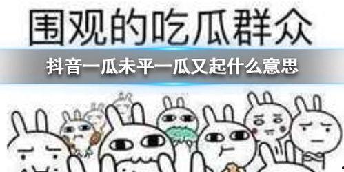 没吃瓜啥意思,揭秘“没吃瓜”背后的网络流行语奥秘