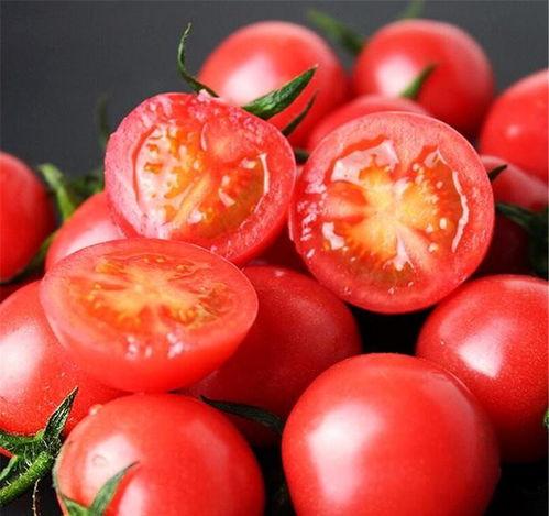 舒兰吃瓜番茄小说,番茄小说中的甜蜜诱惑与成长之旅