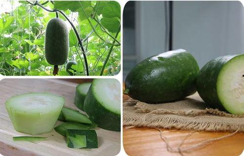 家里一直吃的瓜叫啥瓜