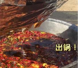 清华才女 吃瓜视频,揭秘校园生活趣味瞬间