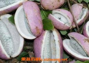 八月瓜 吃,大自然的馈赠，养生佳品