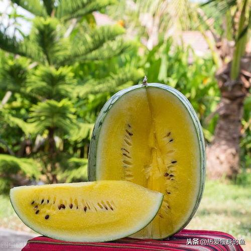 吃瓜美富白,一场跨越次元的时尚盛宴