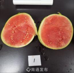 南通主播吃瓜,趣味横生直播秀引网友热议