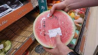 长期吃瓜有多难,揭秘长期吃瓜的艰辛与挑战