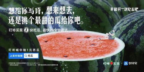 纳凉吃瓜文案,瓜果飘香——尽享清凉时光