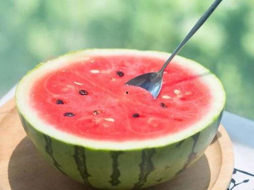 给家人吃瓜,共享美味西瓜,共度欢乐时光